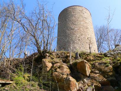 Burgruinen in der Oberpfalz Burg Ruine Thannstein