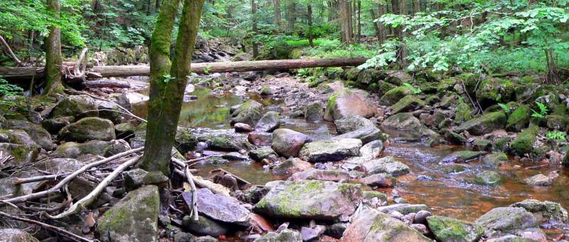 Buchberger Leite Wildbachklamm in Bayern im Bayerischen Wald