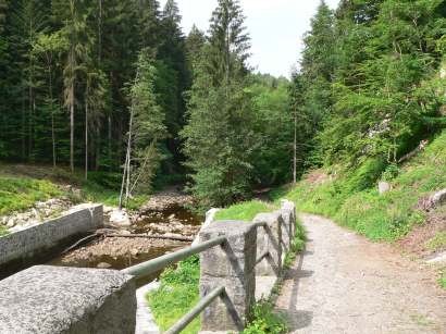 freyung-wildbachklamm-natur-wanderungen-buchberger-leite