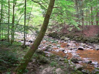 Bilder & Fotos - Buchberger Leite Wolfsteiner Ohe zwischen Freyung Ringelai