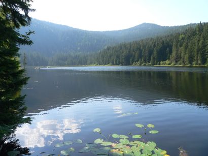 Ausflugstipp - Bilder Impressionen der Wanderung um den Arbersee