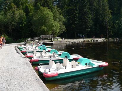 Bootsverleih und Bootfahren am Arbersee