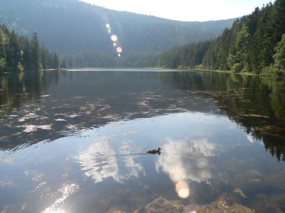 grosser-arbersee-fotos-ausflugsziel-sehenswuerdigkeit