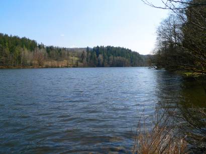 höllensteinsee-ausflugsziel-bayerischer-wald-bilder