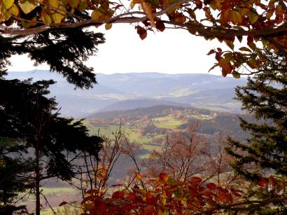 kaitersberg-kötzting-bayerwald-wanderurlaub-berg-ausblick-wald