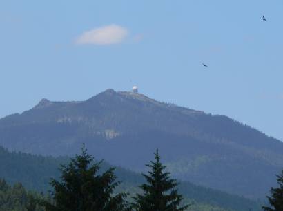 ludwigsthal-bayerischer-wald-bayerwald-berg-arber-blick