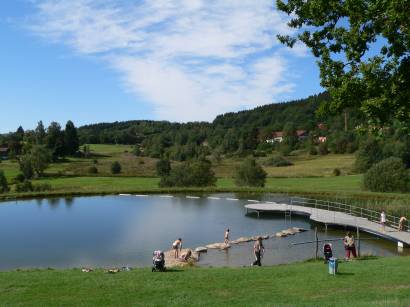 Freizeittipps Sankt Englmar - Bild ID: bayerischer-wald-ausflugsziel-naturbadeweiher-badesee