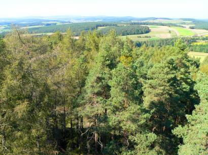 schwandorf-fuhrn-aussichtsturm-hirschberg-aussicht-wald-baum