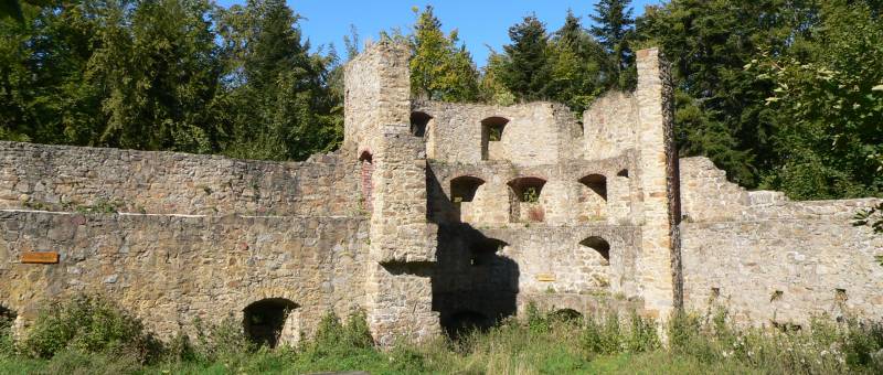 Burgruine Kürnburg bei Stamsried Ruine Kürnberg Bilder