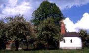 Zellertal in Drachselsried bei Bodenmais - Bild ID: strohmeier-bauernhof-drachselsried-zellertal-kapelle