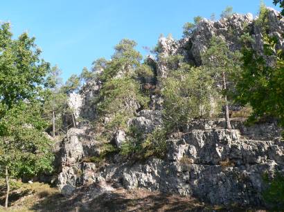 viechtach-naturschutzgebiet-grosser-pfahl-bayerischer-wald-gestein-wandern