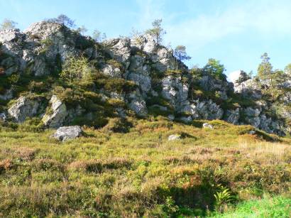viechtach-naturschutzgebiet-grosser-pfahl-bayerischer-wald