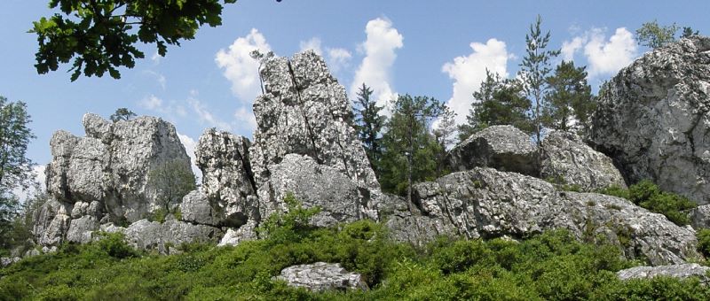 Pfahl bei Viechtach - Quarzriff Naturdenkmal in Bayern