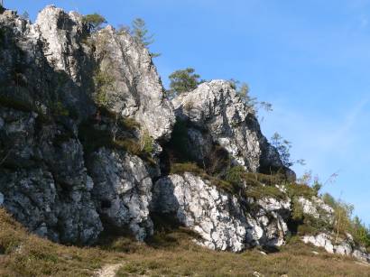 viechtach-naturschutzgebiet-grosser-pfahl-bayerwald-felsen-gestein-besonderheit