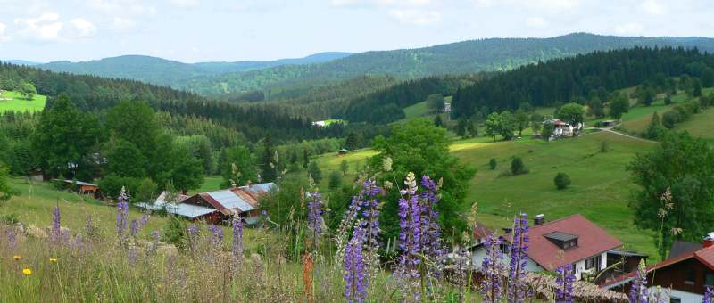 vorderfirmiansreut-ausflugsziel-sehenswertes-natururlaub-wanderferien-panorama