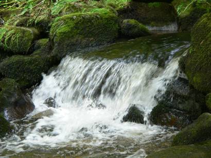 waldkirchen-saussbachklamm-wandergebiet-natururlaub-wasserfall-bach