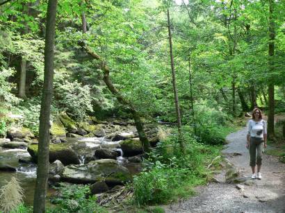 Ausflugsziele und Sehenswürdigkeiten Saußbachklamm Waldkirchen