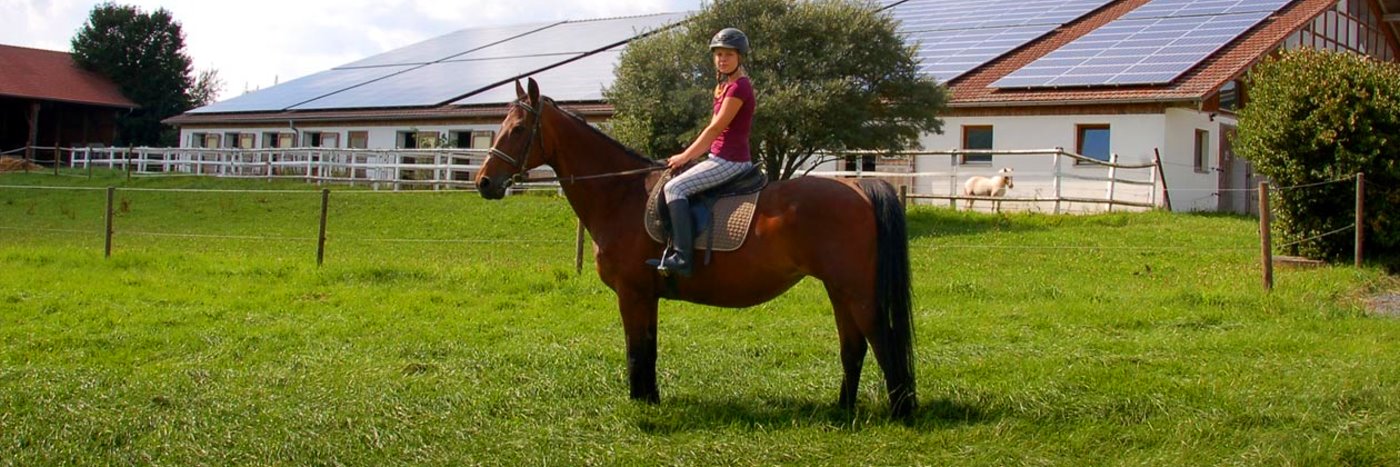 Reiten am Ferienhof Altmann Wofahanslhof Bauernhof in Neuaign bei Eschlkam