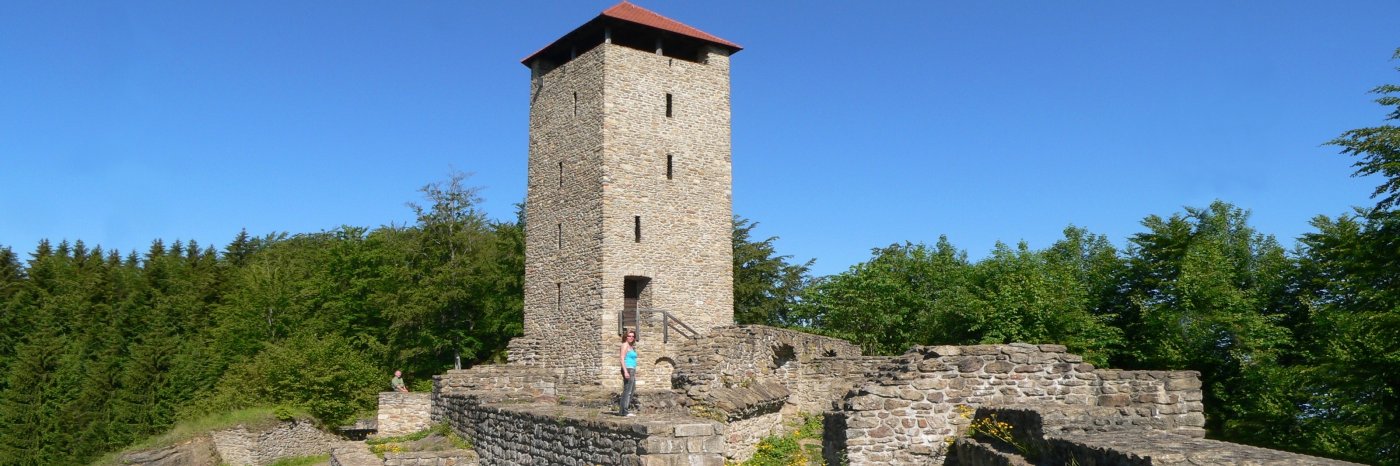 altnussberg-burgruine-ausflugsziele-bayerischer-wald-aussichtsturm