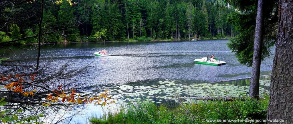 Der Große Arbersee mit Arber Berghaus und Tretboot Anlegestelle