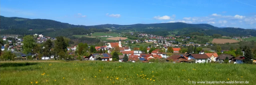 Blick auf Viechtach