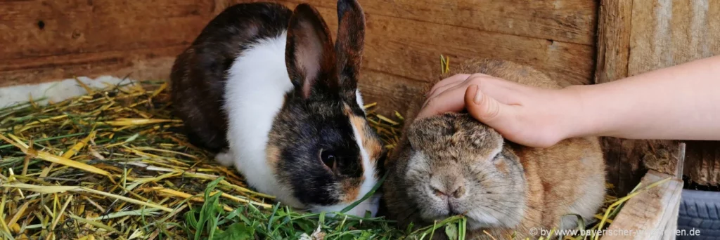 Ferienwohnung am Kinder & Wellness Bauernhof mit Streicheltieren