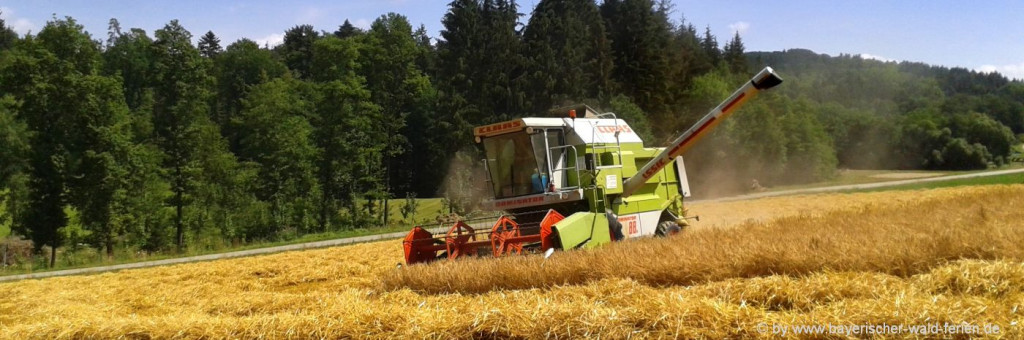 Bayern Erlebnisbauernhöfe in Niederbayern und Oberpfalz