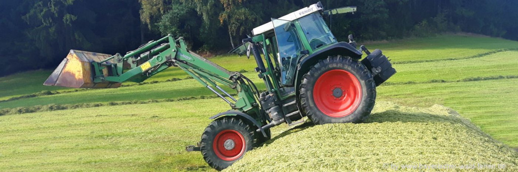 Bauernhofurlaub Bayerischer Wald Traktor mitfahren Maisernte