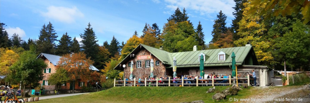 Berghütten Bayerischer Wd Ausflugsziele Wanderungen