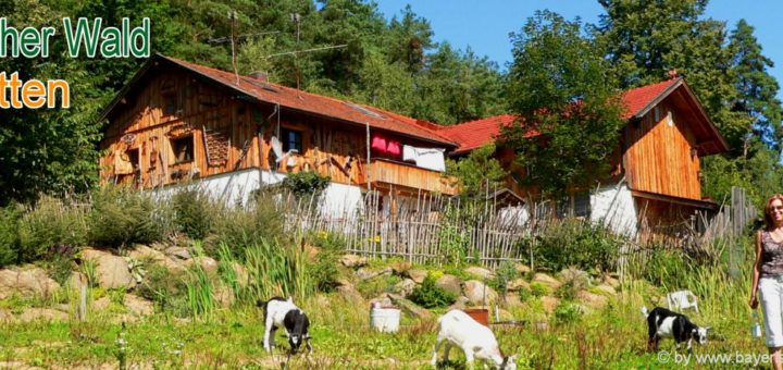 bayerischer-wald-berghüttenurlaub-bayern-selbstversorgerhütten