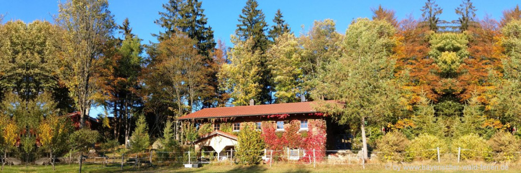 Urlaub im Herbst in Bayern Wandern und Ausflüge unternehmen