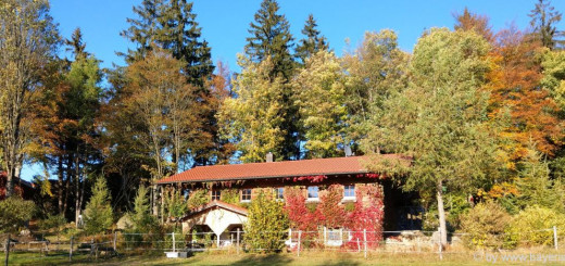 Herbsturlaub Bayerischer Wald Ferienhaus Ferienhütte Berghütte