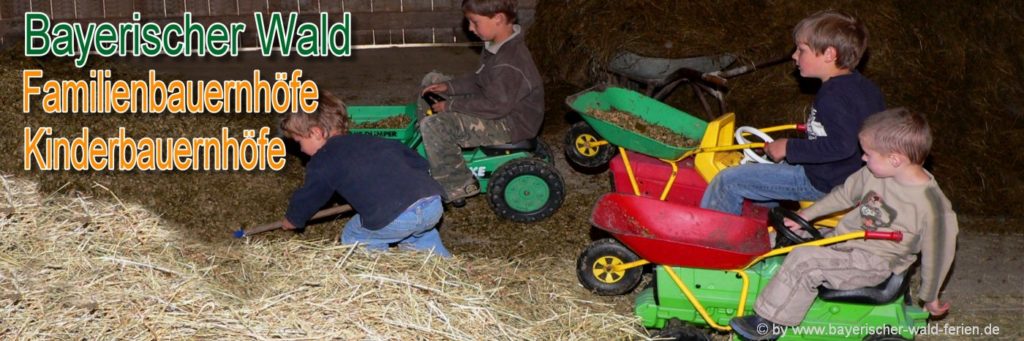 Bayerischer Wald Kinderbauernhof Urlaub in Bayern Bauernhofurlaub