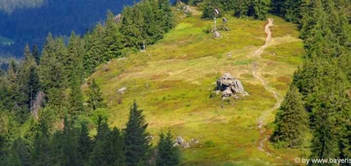 bayerischer-wald-osserwiese-bergwanderung-lam-highlights