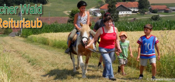 bayerischer-wald-reiturlaub-bayern-ponyreiten-reiterferien