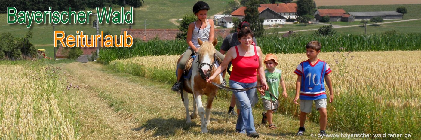 Ferienwohnung am Bauernhof Bayerischer Wald Reiten für Kinder Familien