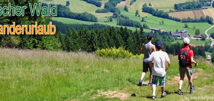 bayerischer-wald-wanderurlaub-aussichtspunkte-bergwanderungen