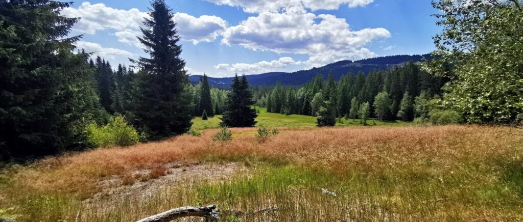 bischofsreut-nationalpark-sumova-landschaft-tschechien