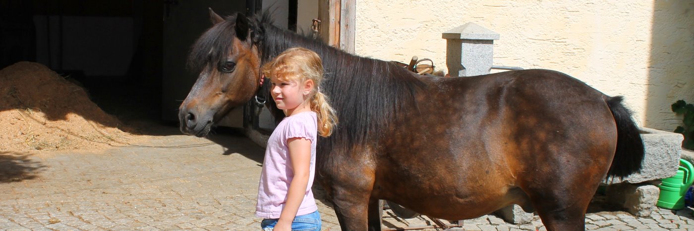 Reiturlaub am Wohlfühlhof Bayerischer Wald Wohlfühlbauernhof in Bayern