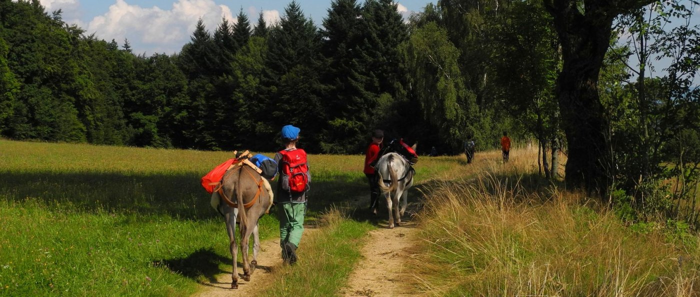 Hütte für 2 Personen in Bayern Eselwanderung Bayerischer Wald