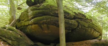 Bild Froschmaul im Falkenstein Schlosspark - Wander Touren Bayern