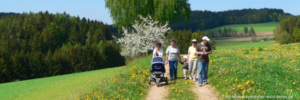 Familien und Kinderausflug in Bayern / Bayerischer Wald Kinderwagen oder Bollerwagen