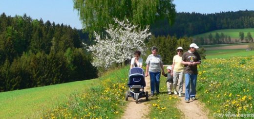 Familienurlaub Bayerischer Wald Familienfreundliche Hotels mit Kindern