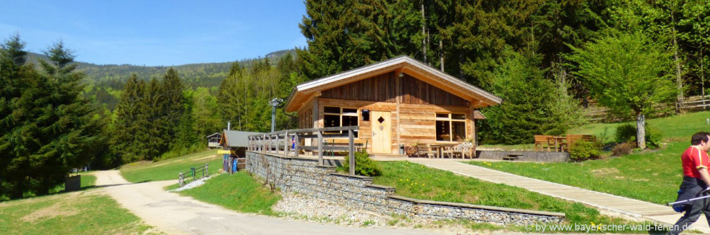 Bayerischer Wald Blockhaus mieten Holzhaus am See