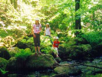 Aktivurlaub & Wanderurlaub auf dem Lande in Niederbayern