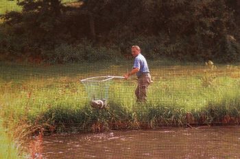 ferienwohnung-fischteich-eigenes-angelgewässer-fischfang ferienwohnung-fischteich-eigenes-angelgewässer-fischfang