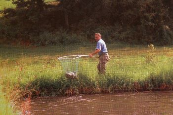 ferienwohnung-fischteich-eigenes-angelgewässer-fischfang