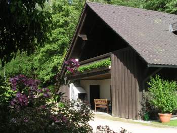 angeln Ferienhaus Fluss Schwarzach Oberpfalz Seenlandschaft