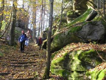 ferienwohnung-schwarzach-wanderurlaub-oberpfalz-wandern