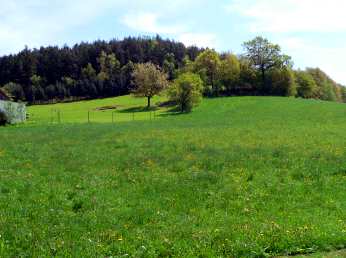 Urlaub in Haag zwischen Zell und Martinsneukirchen